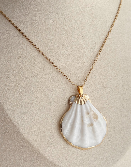 Ogrlica Jacobeus Shell