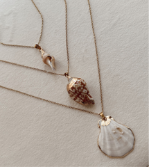 Ogrlica Shell 2