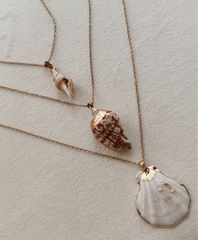 Ogrlica Jacobeus Shell