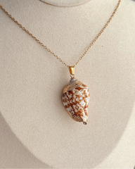 Ogrlica Shell 2